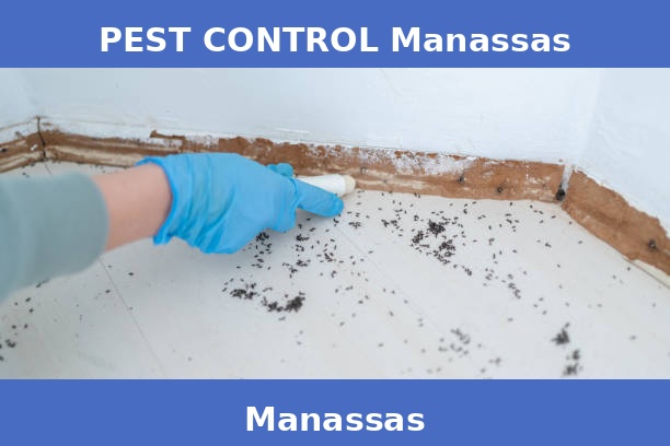 PEST CONTROL Manassas